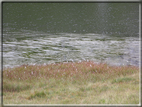 foto Lago delle Buse
